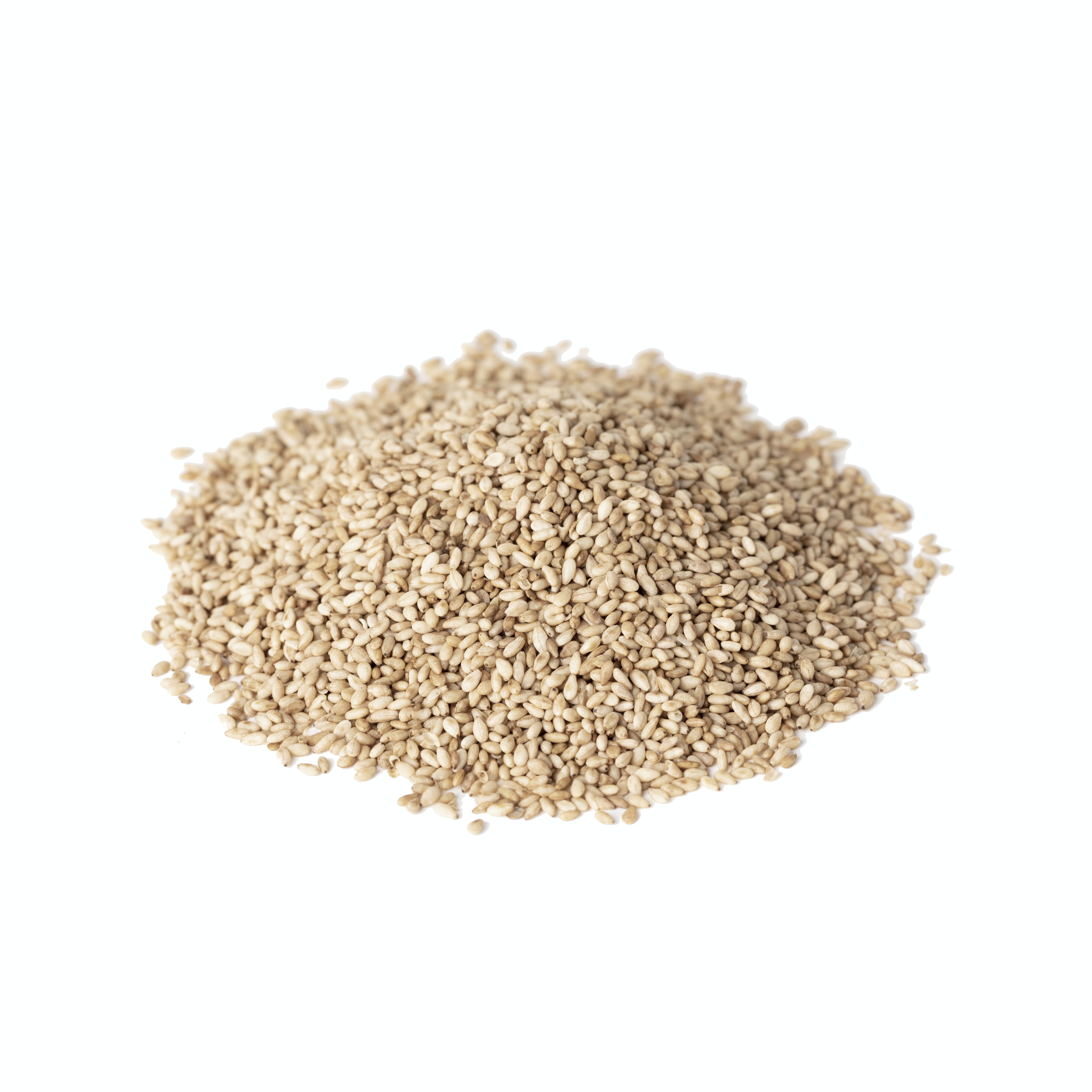 Sesam geschält, weiß1 kg in der Papiertüte, genäht
